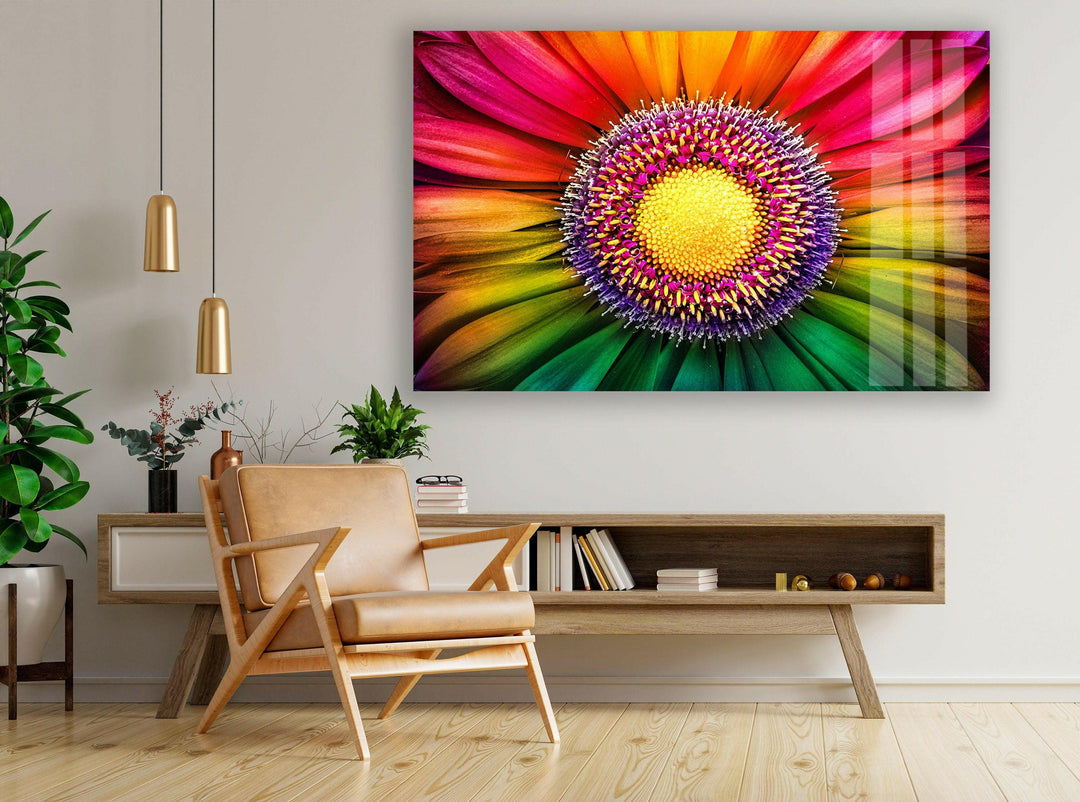 Rainbow Gerbera Flower Close Up Glass Wall Art, picture on glass wall art, photos printed on glass