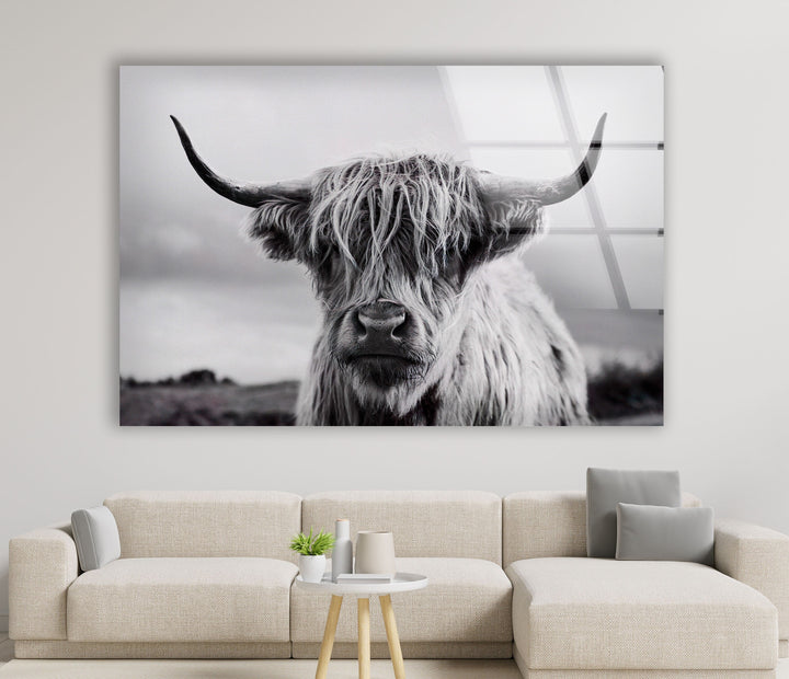 Scottish Cow Glass Wall Art art glass wall art, glass wall art pictures