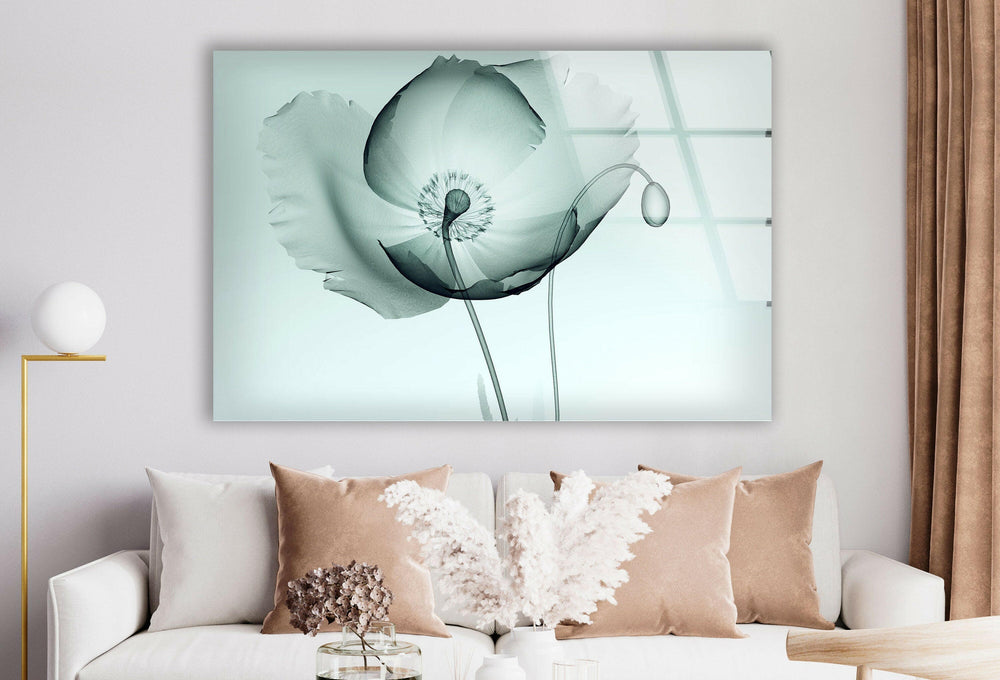 X-ray Image Of A Poppy Glass Wall Art, picture on glass wall art, photos printed on glass