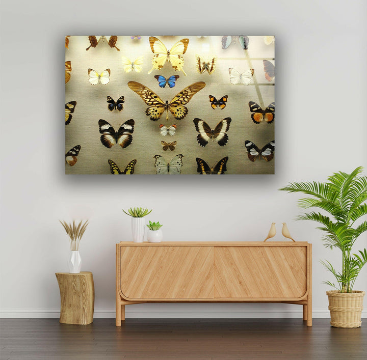 Butterfly Collection Glass Wall Art glass photo prints, glass picture prints