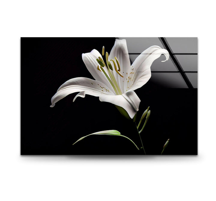 Solitary Stunning Lily Glass Wall Art, glass art painting, glass art for the Wall