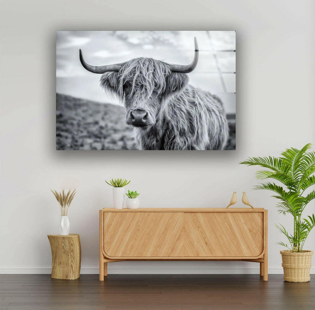 Contemporary monochrome Highland cow art highlighting its expressive face and horns.