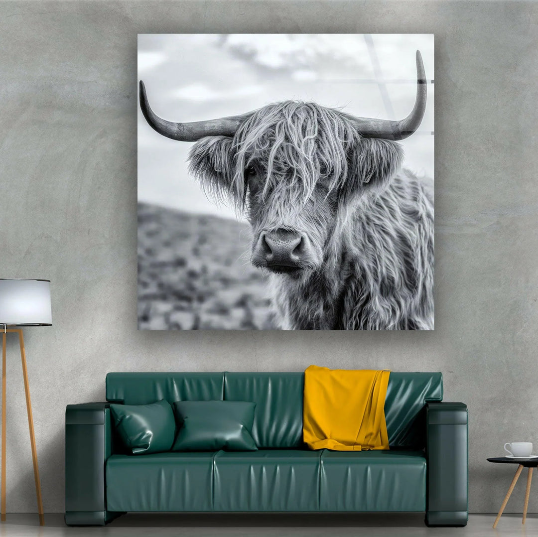Scenic black and white wall art portraying a Highland cattle with windswept fur.